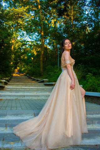 Lace Off The Shoulder Romantic Dress Tulle - Dioma Fashion